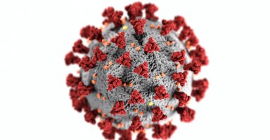 Coronavirus
