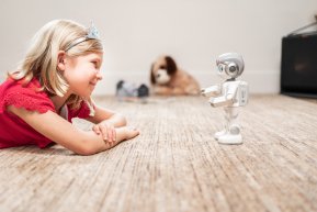 Robin playing on the floor